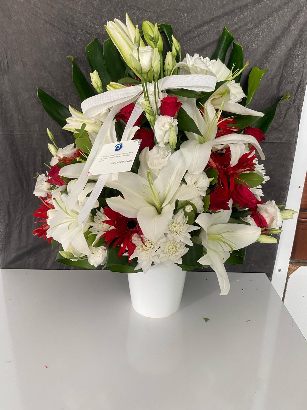 K�rm�z� Beyaz Arajman