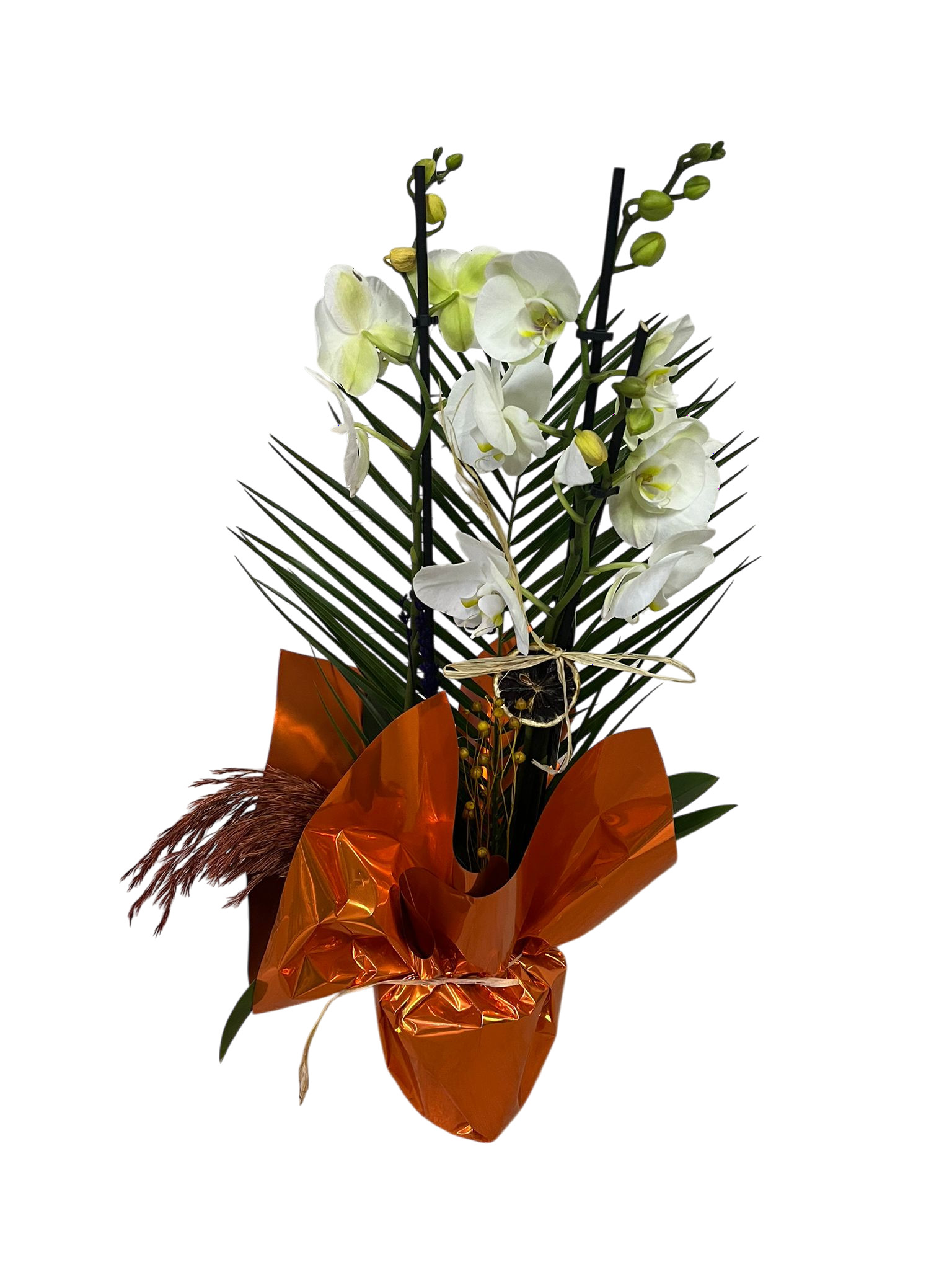 Orkide �ift Dall� S�sl�