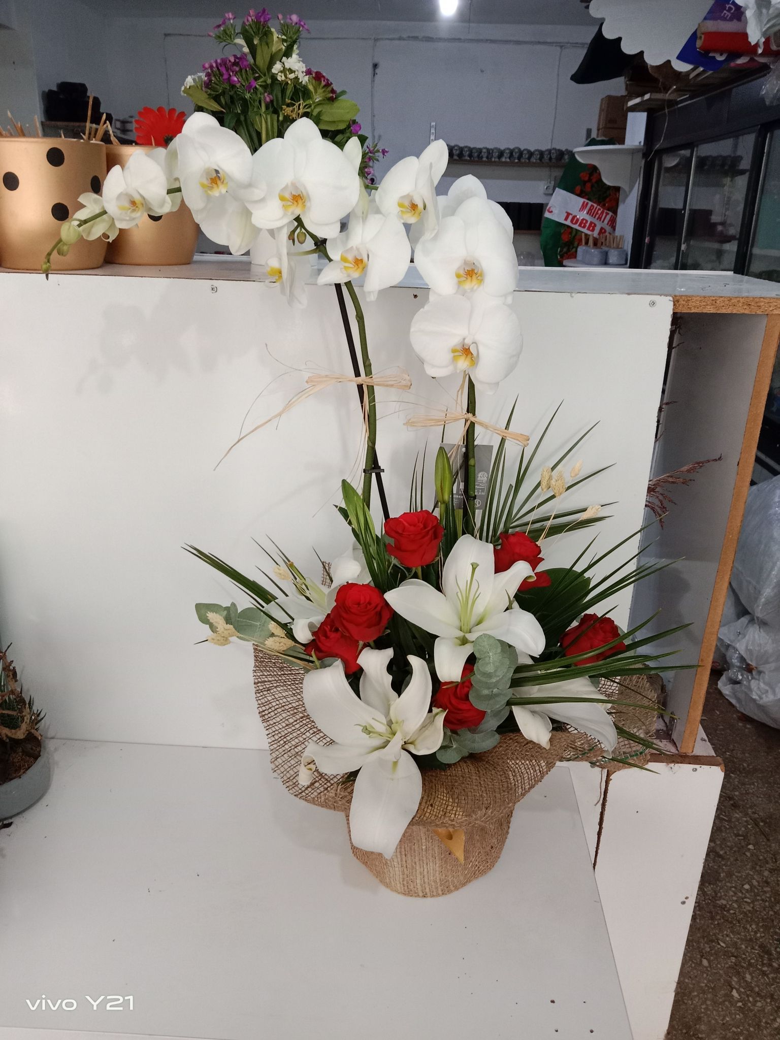 Beyaz Orkide Aranjmanl�