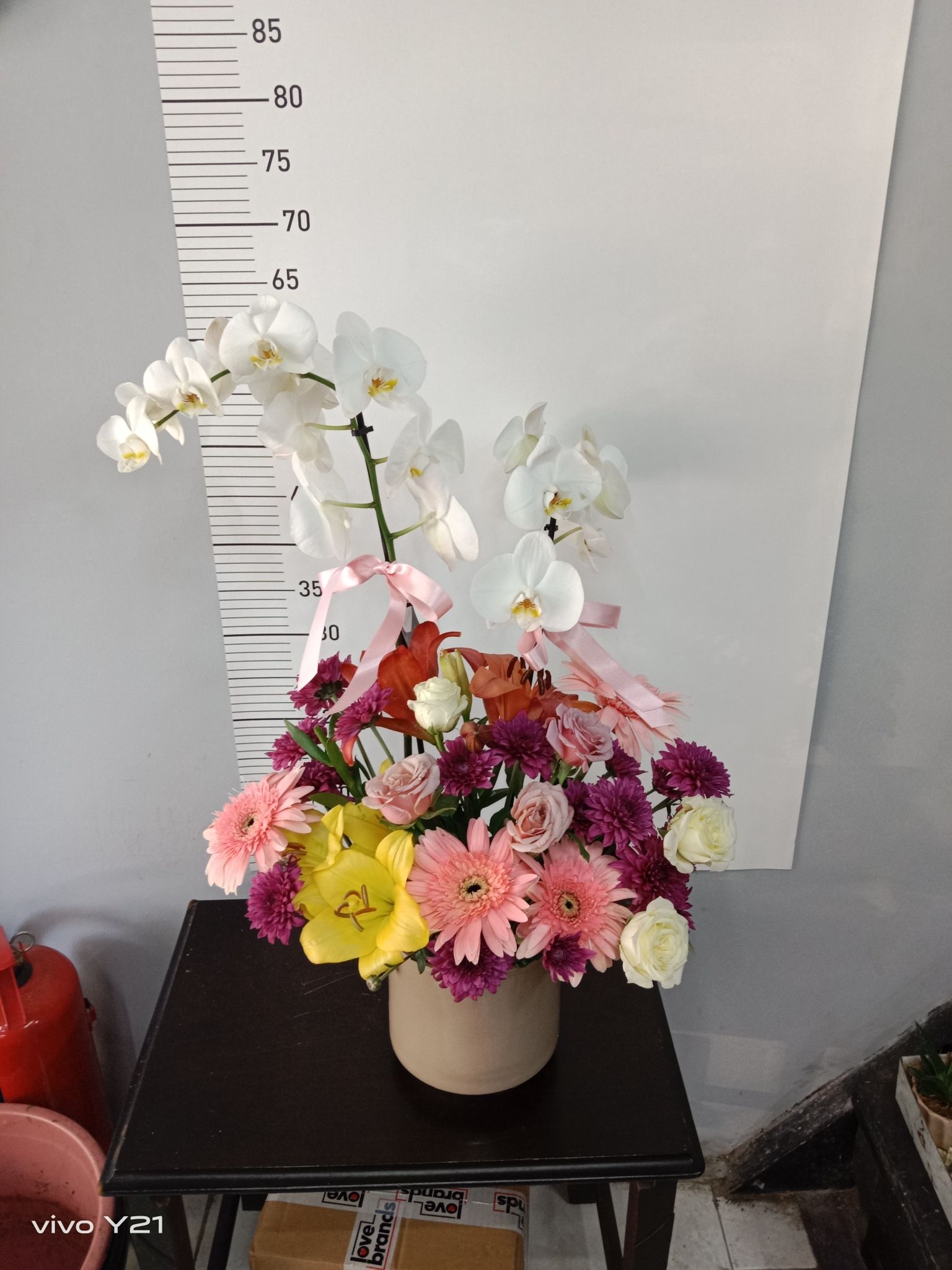 Orkide ve Renkli �i�ekler